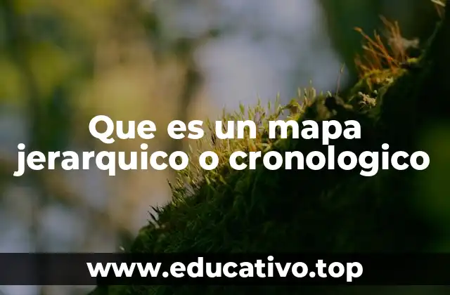 Que es un mapa jerarquico o cronologico