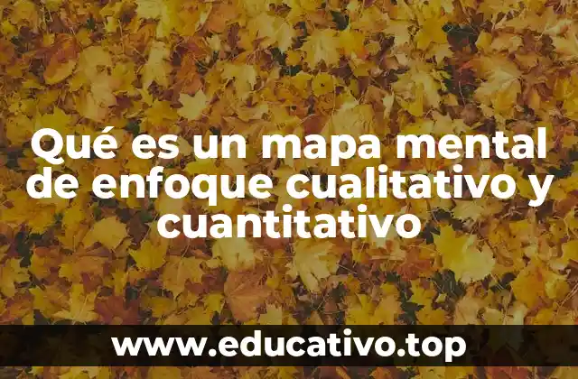 Qué es un mapa mental de enfoque cualitativo y cuantitativo