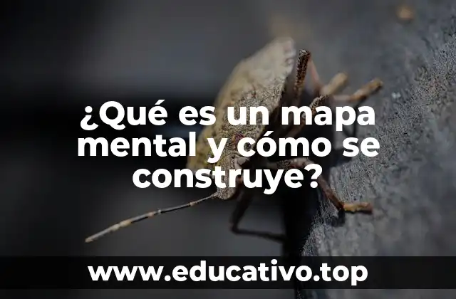 La importancia de visualizar la información