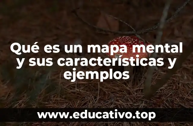 Qué es un mapa mental y sus características y ejemplos