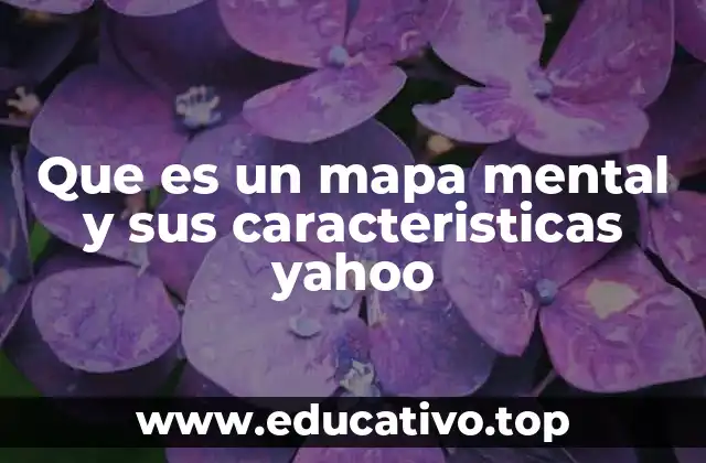 Que es un mapa mental y sus caracteristicas yahoo