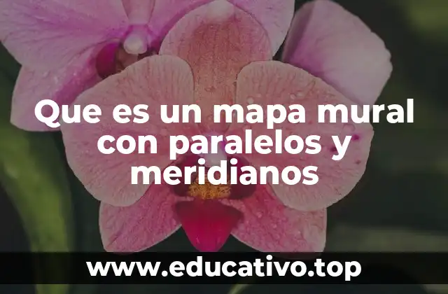 Que es un mapa mural con paralelos y meridianos