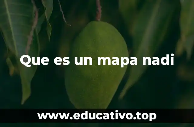 Que es un mapa nadi