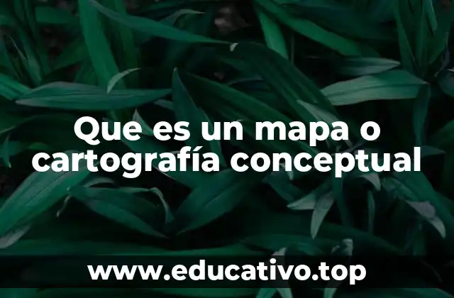 Que es un mapa o cartografía conceptual