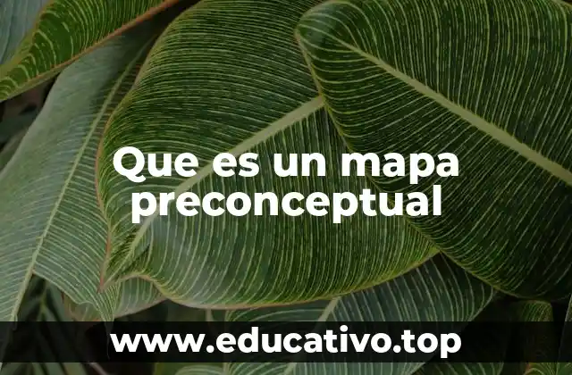 Que es un mapa preconceptual