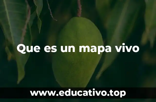 Que es un mapa vivo