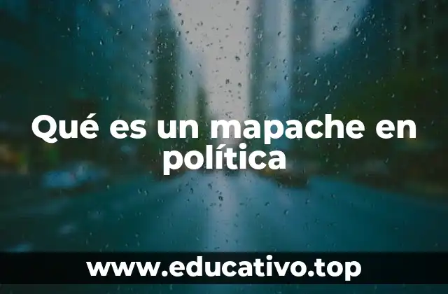 Qué es un mapache en política