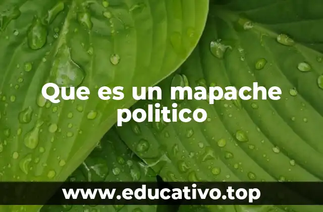 El fenómeno de los mapaches políticos en la era digital