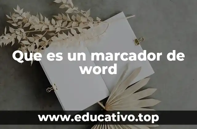 Que es un marcador de word