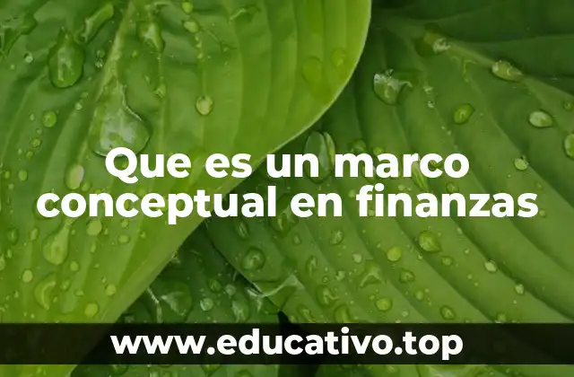 Que es un marco conceptual en finanzas