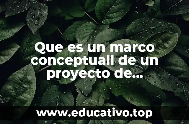 Que es un marco conceptuall de un proyecto de investigacion