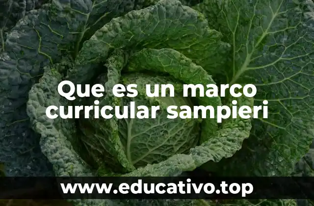 Que es un marco curricular sampieri