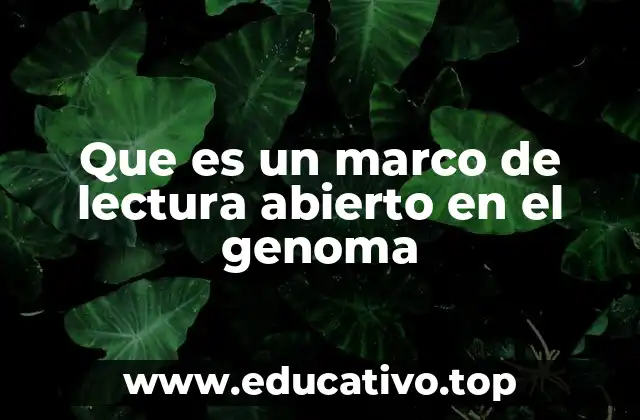 Que es un marco de lectura abierto en el genoma