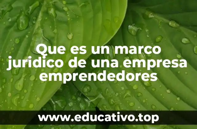 Que es un marco juridico de una empresa emprendedores