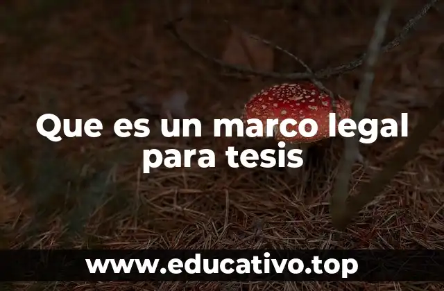 Que es un marco legal para tesis