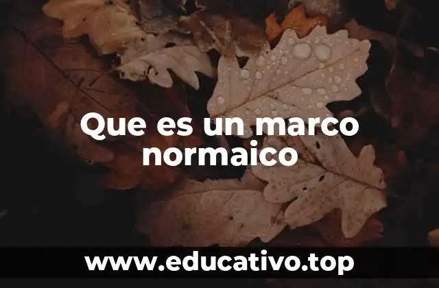 Que es un marco normaico