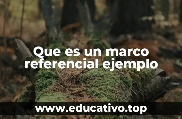 El rol del marco referencial en la investigación científica