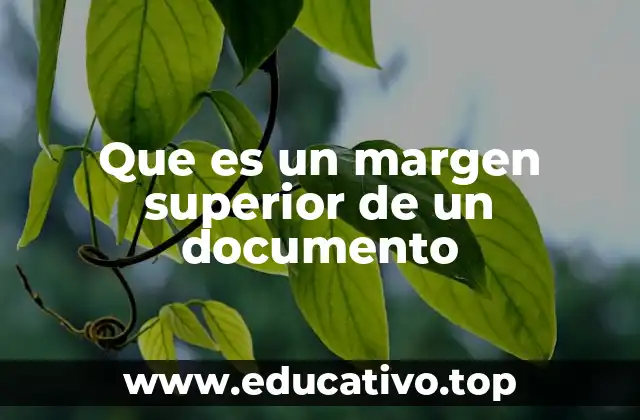 Que es un margen superior de un documento