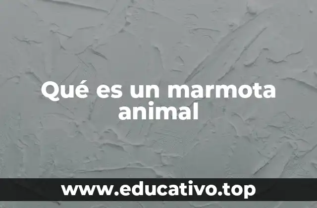Qué es un marmota animal