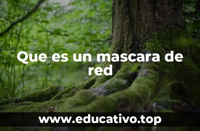 Que es un mascara de red
