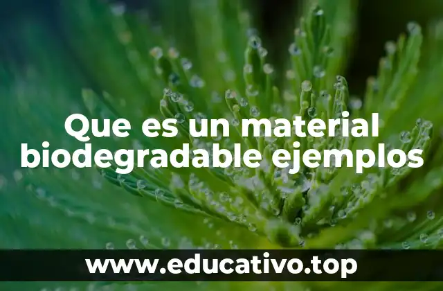 Que es un material biodegradable ejemplos