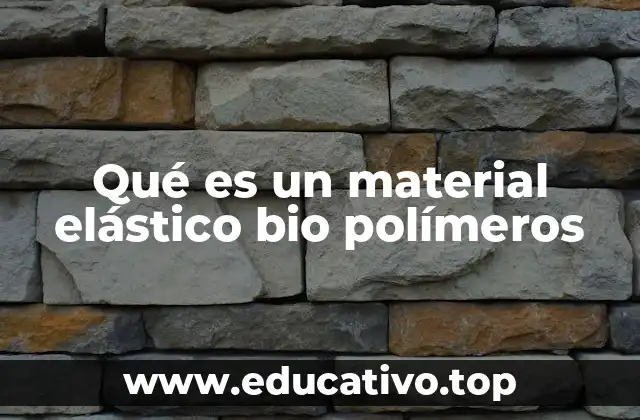 Qué es un material elástico bio polímeros