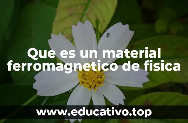 Que es un material ferromagnetico de fisica