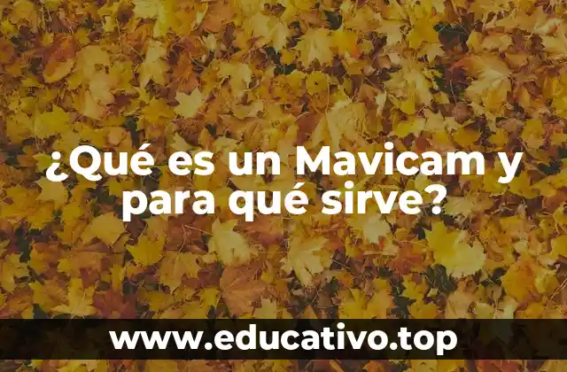 ¿Qué es un Mavicam y para qué sirve?
