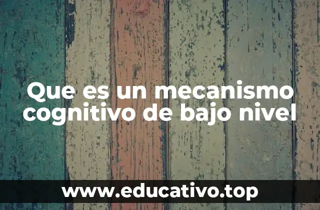 Que es un mecanismo cognitivo de bajo nivel