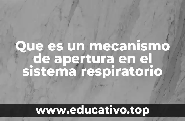 Que es un mecanismo de apertura en el sistema respiratorio