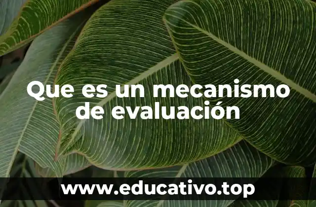 Que es un mecanismo de evaluación