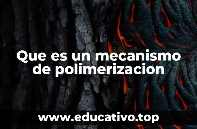Que es un mecanismo de polimerizacion