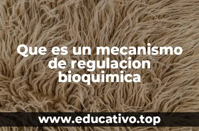 Que es un mecanismo de regulacion bioquimica