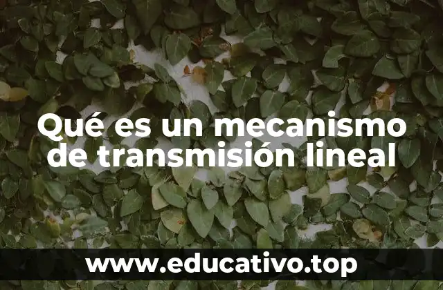 Qué es un mecanismo de transmisión lineal