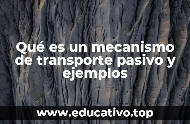 Qué es un mecanismo de transporte pasivo y ejemplos
