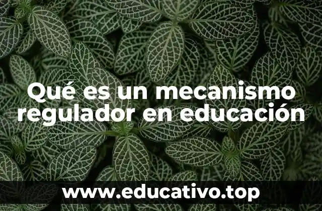 Qué es un mecanismo regulador en educación