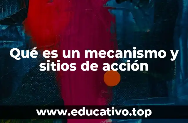 Qué es un mecanismo y sitios de acción