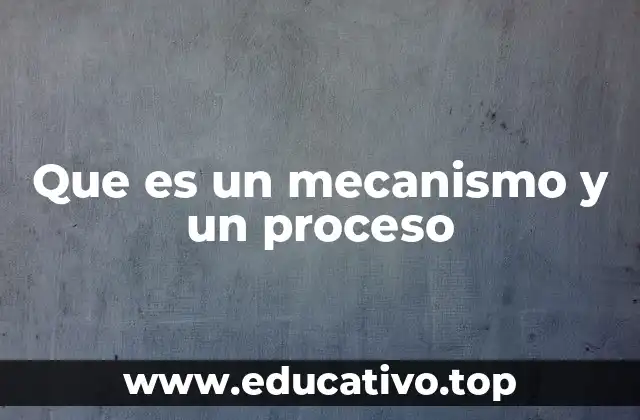 Que es un mecanismo y un proceso