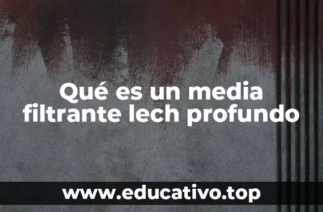 Qué es un media filtrante lech profundo