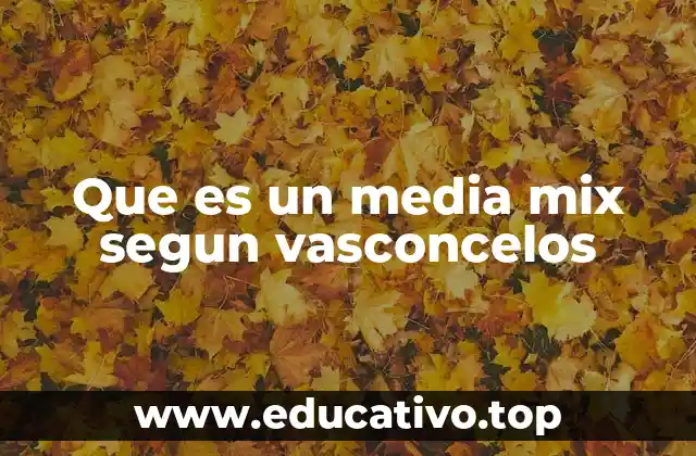 Que es un media mix segun vasconcelos