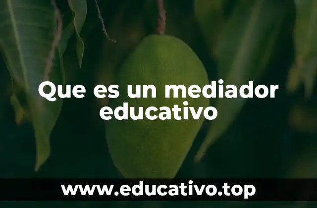 Que es un mediador educativo