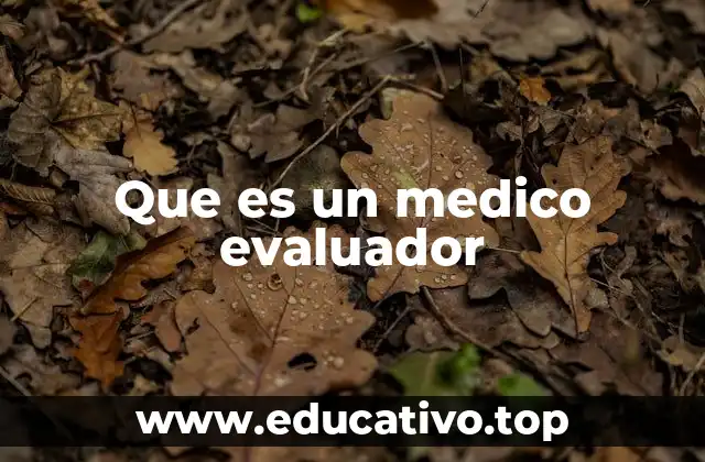 Que es un medico evaluador