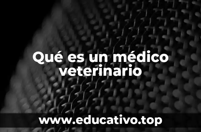Qué es un médico veterinario
