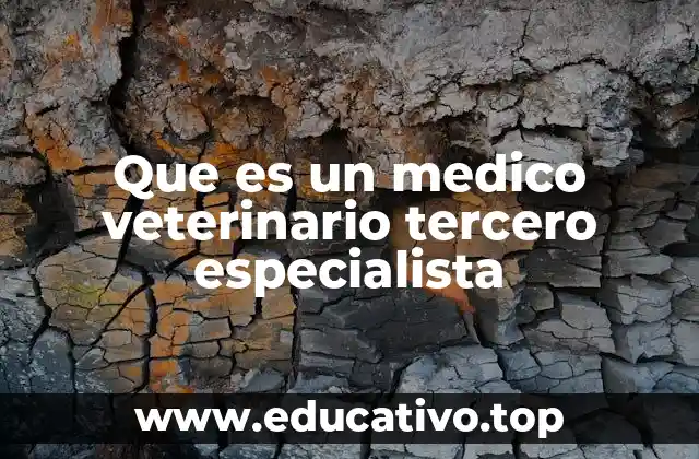 Que es un medico veterinario tercero especialista