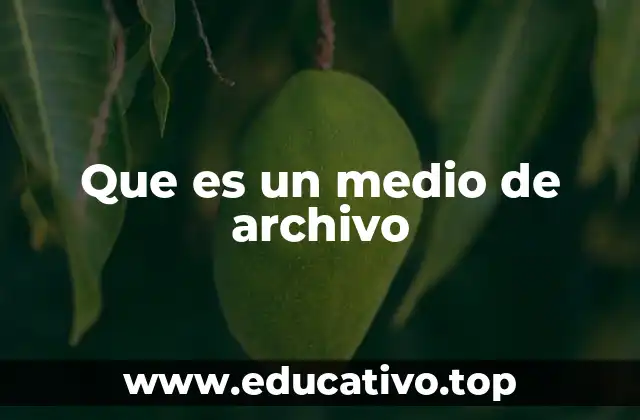 Que es un medio de archivo