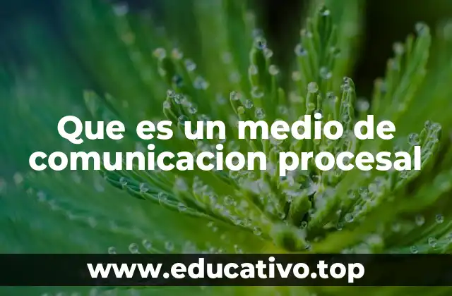 Que es un medio de comunicacion procesal