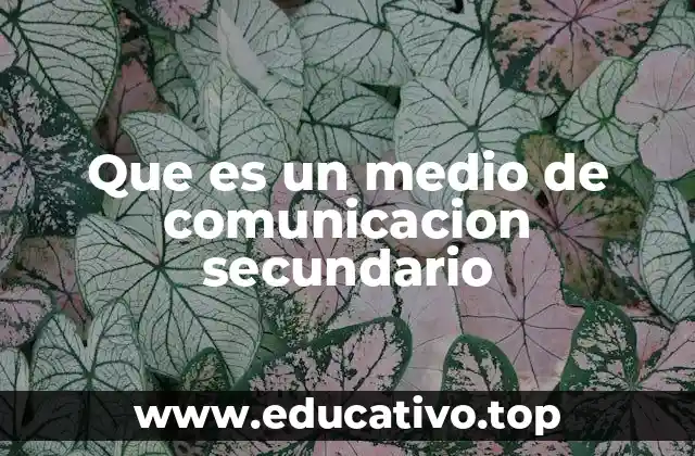 Que es un medio de comunicacion secundario