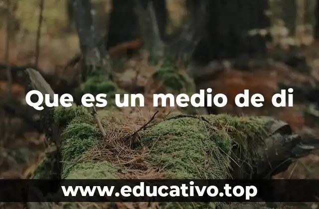Que es un medio de di