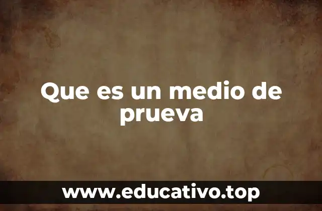 Que es un medio de prueva