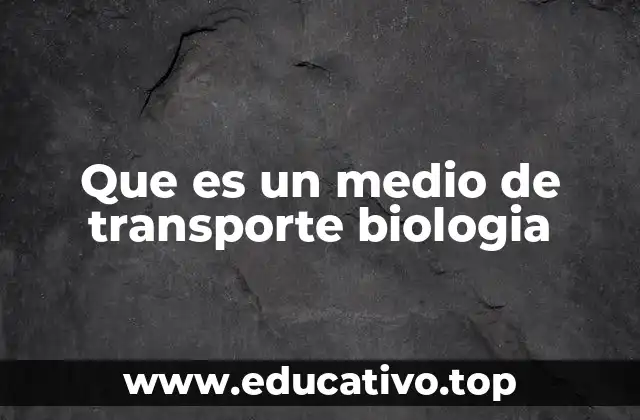 Que es un medio de transporte biologia